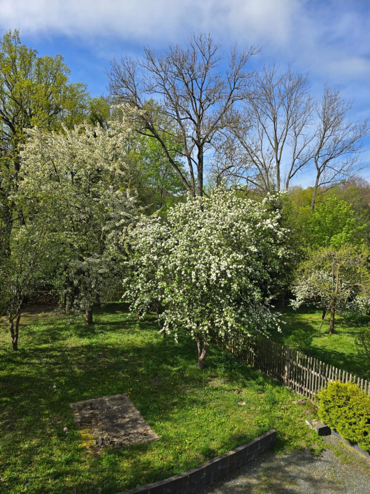 Villa Kuechwald Chemnitz  Exteriér fotografie