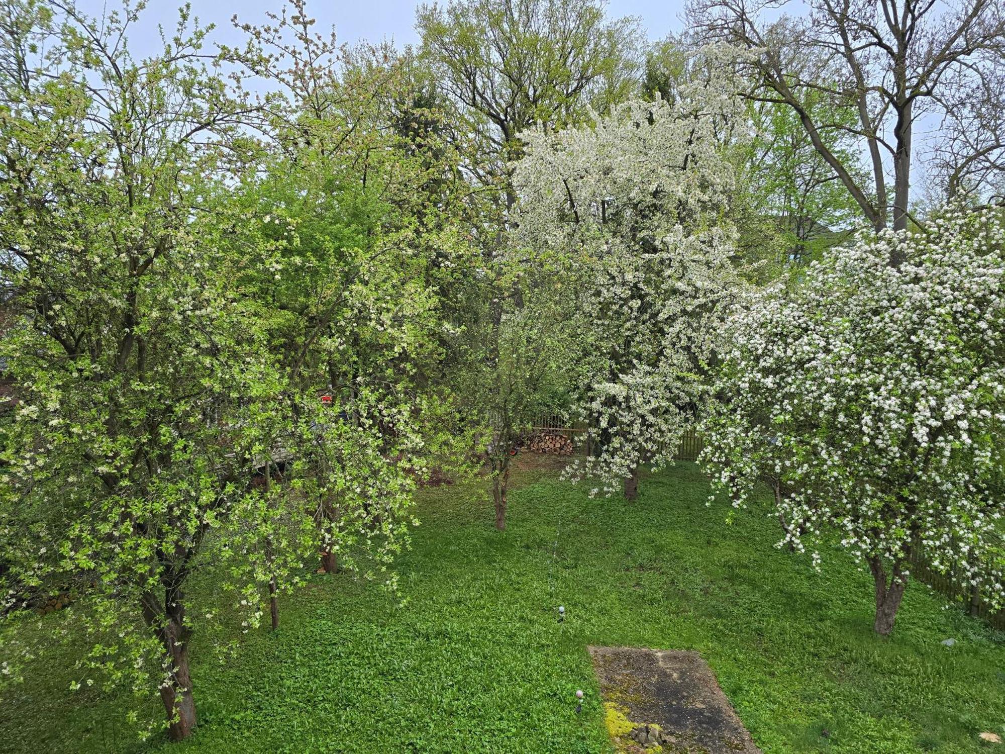 Villa Kuechwald Chemnitz  Exteriér fotografie