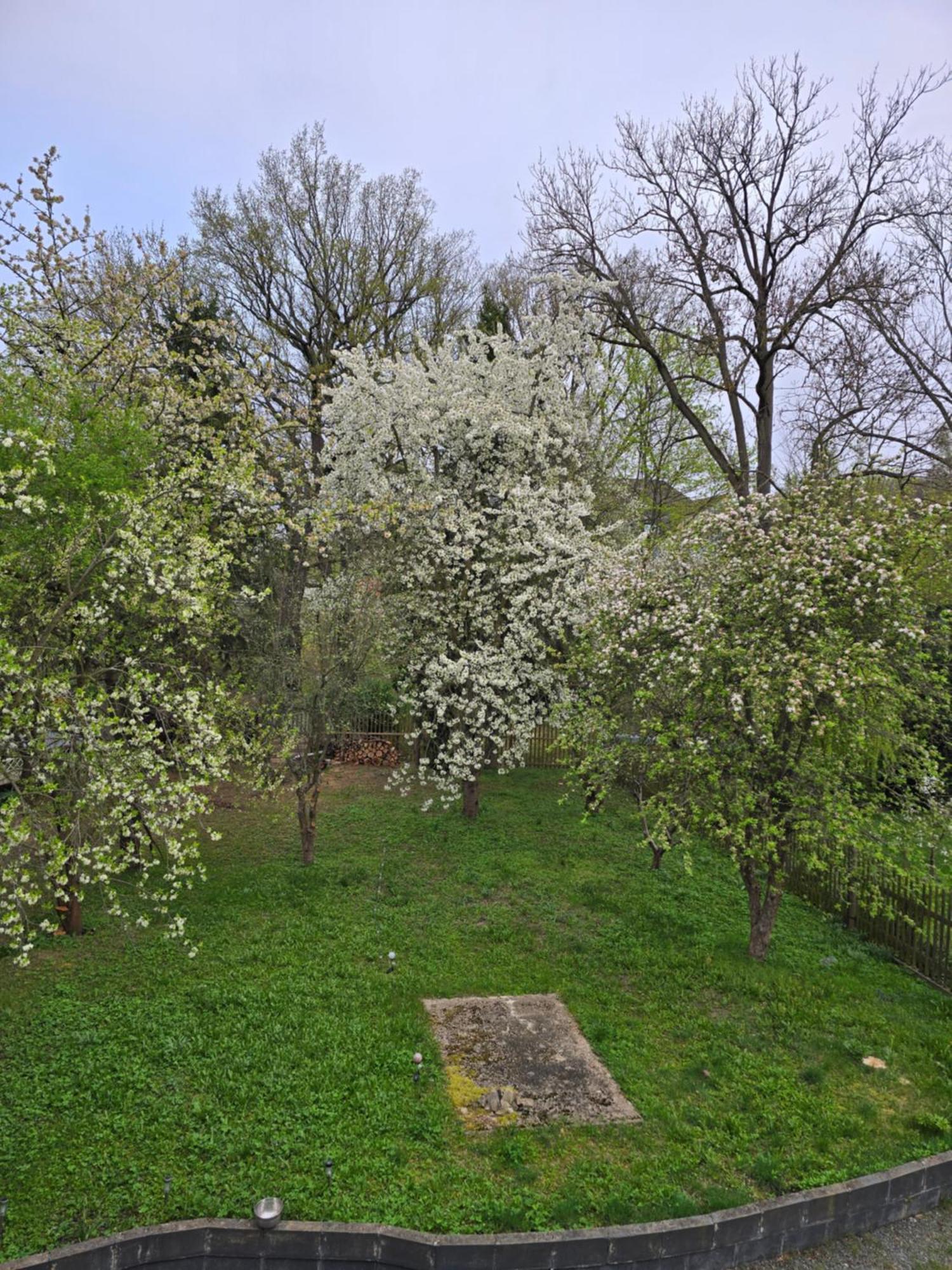 Villa Kuechwald Chemnitz  Exteriér fotografie