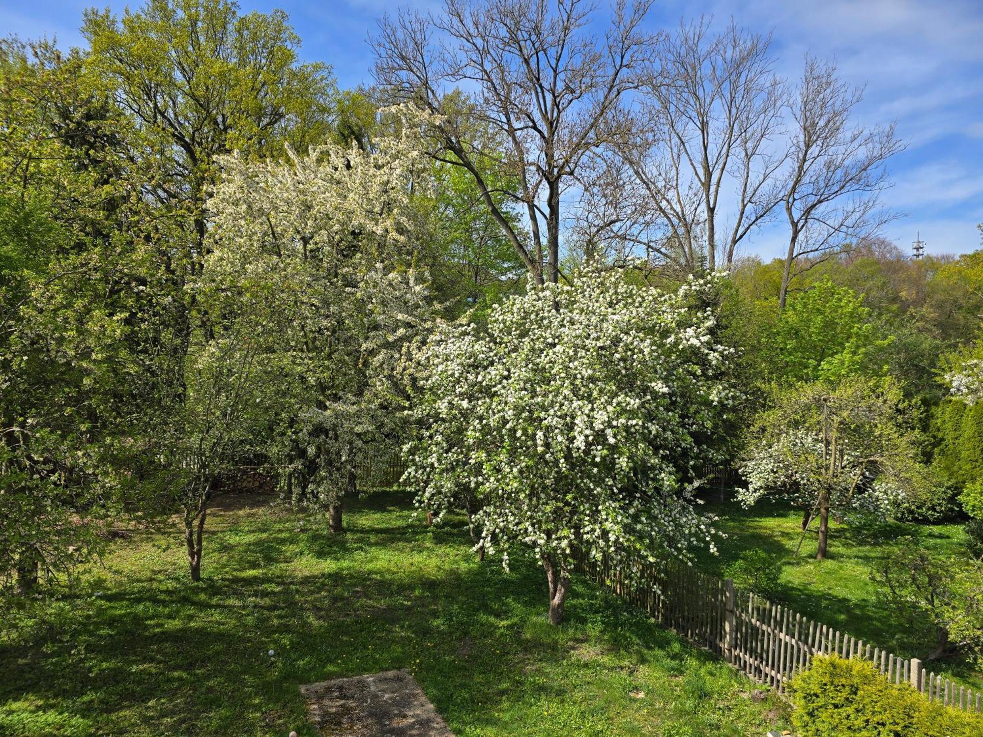 Villa Kuechwald Chemnitz  Exteriér fotografie