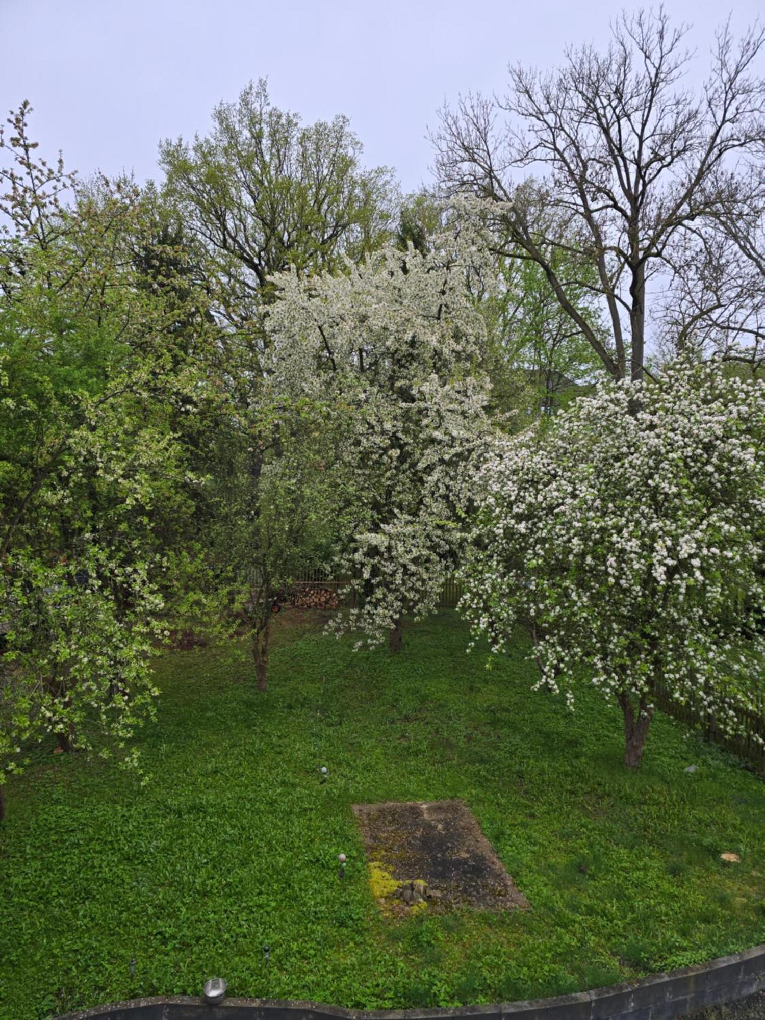 Villa Kuechwald Chemnitz  Exteriér fotografie